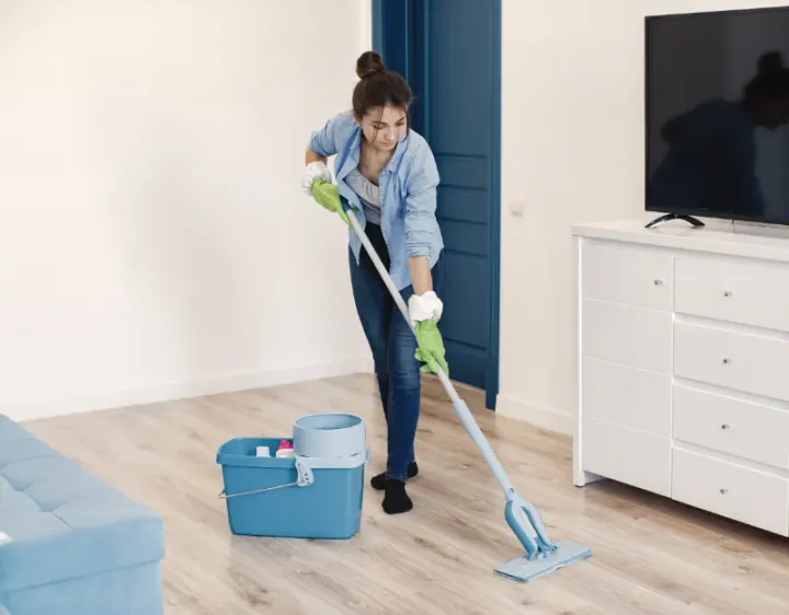 Femme de ménage Landelles